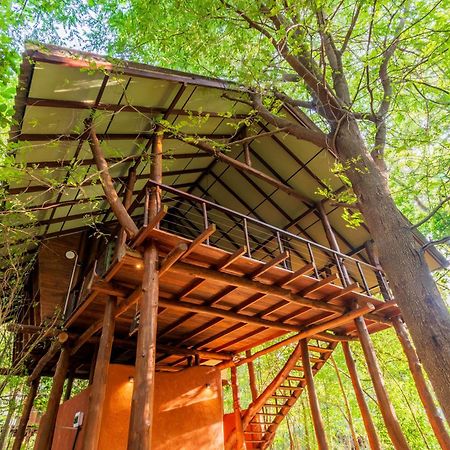 Kaala Kalaththewa Luxury Eco Resort Anuradhapura Zewnętrze zdjęcie