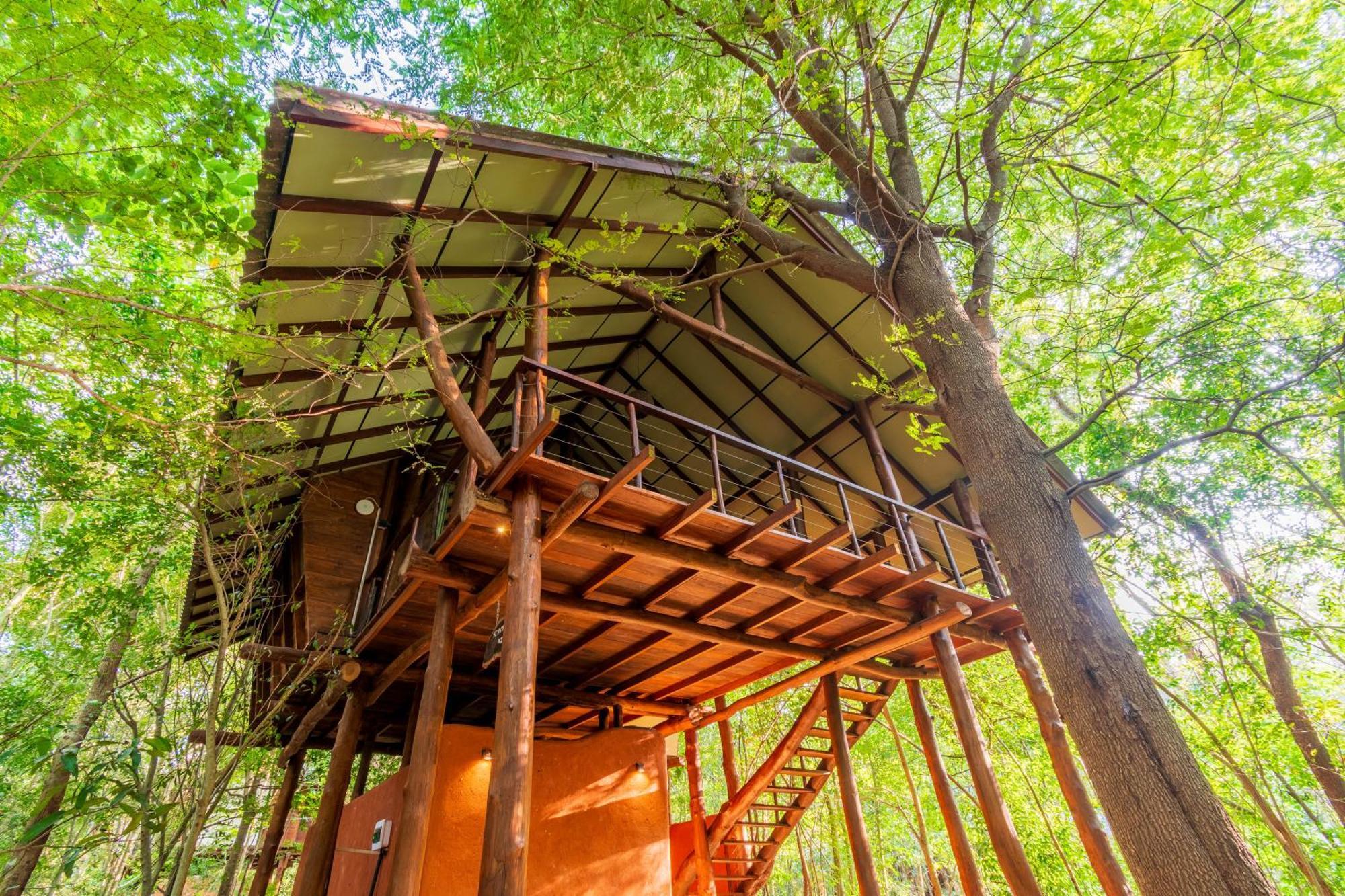 Kaala Kalaththewa Luxury Eco Resort Anuradhapura Zewnętrze zdjęcie