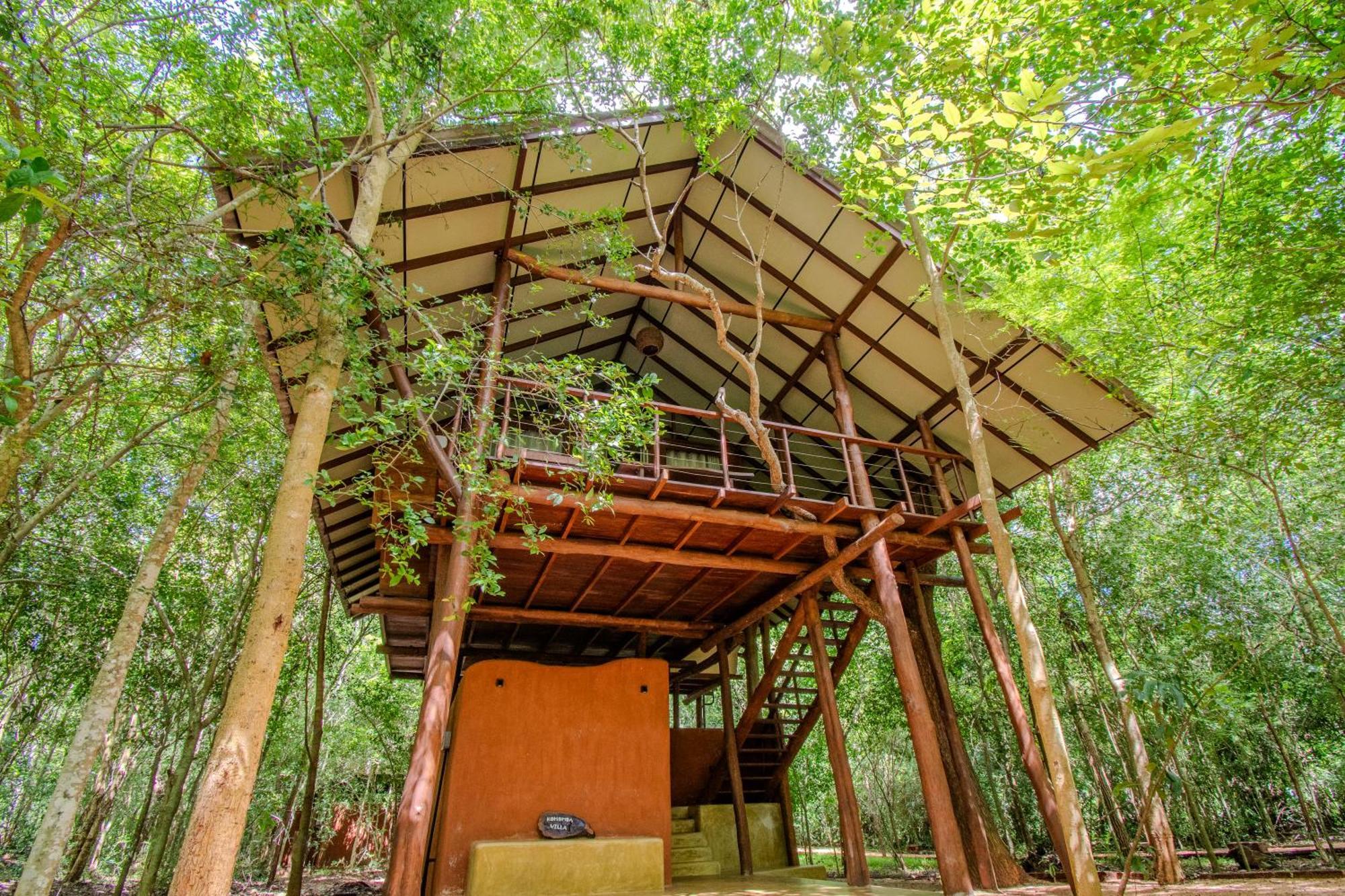 Kaala Kalaththewa Luxury Eco Resort Anuradhapura Zewnętrze zdjęcie